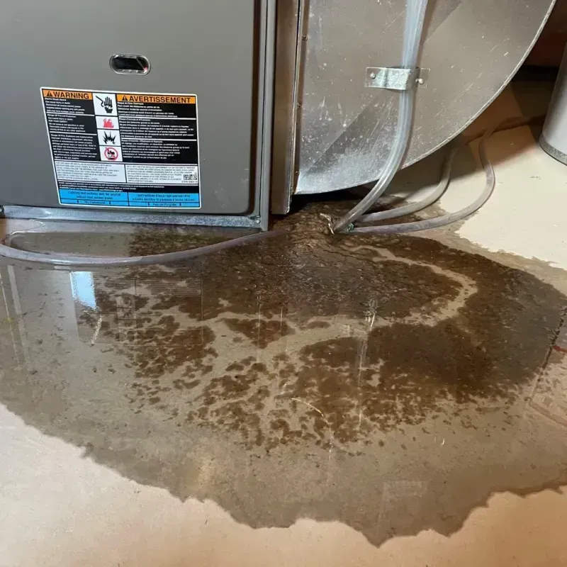 Appliance Leak Cleanup in Flatlands, NY